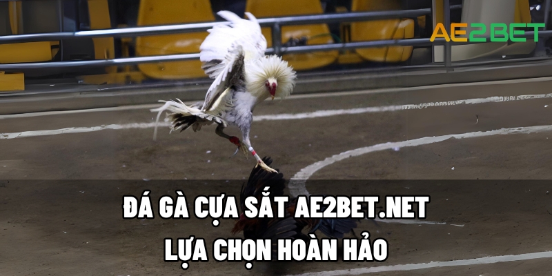 da ga cua sat ae2bet.net